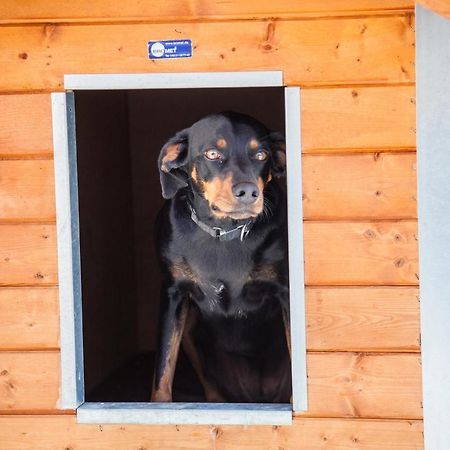 Ferienwohnung Bei Cooldog Imst Exteriör bild