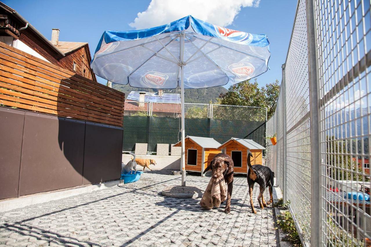 Ferienwohnung Bei Cooldog Imst Exteriör bild