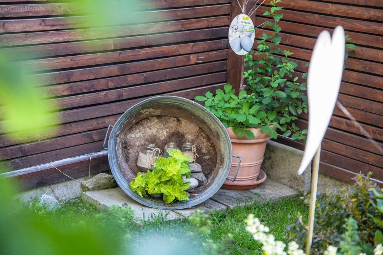 Ferienwohnung Bei Cooldog Imst Exteriör bild