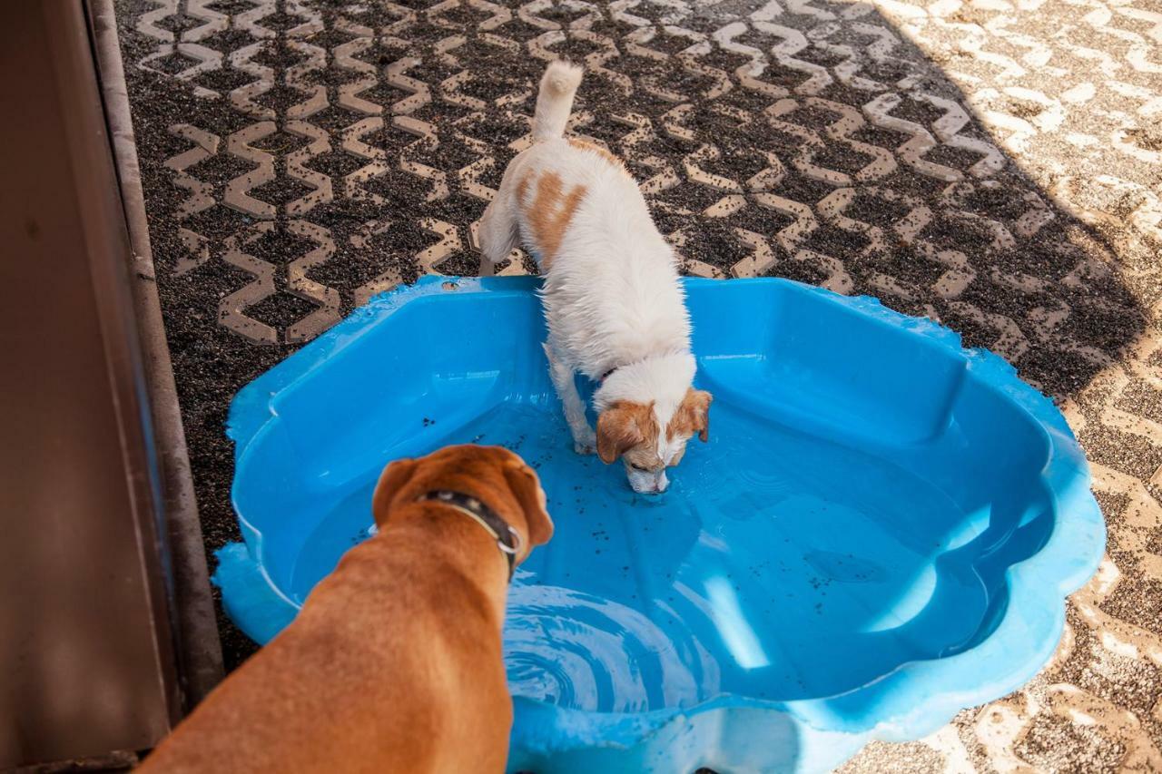 Ferienwohnung Bei Cooldog Imst Exteriör bild