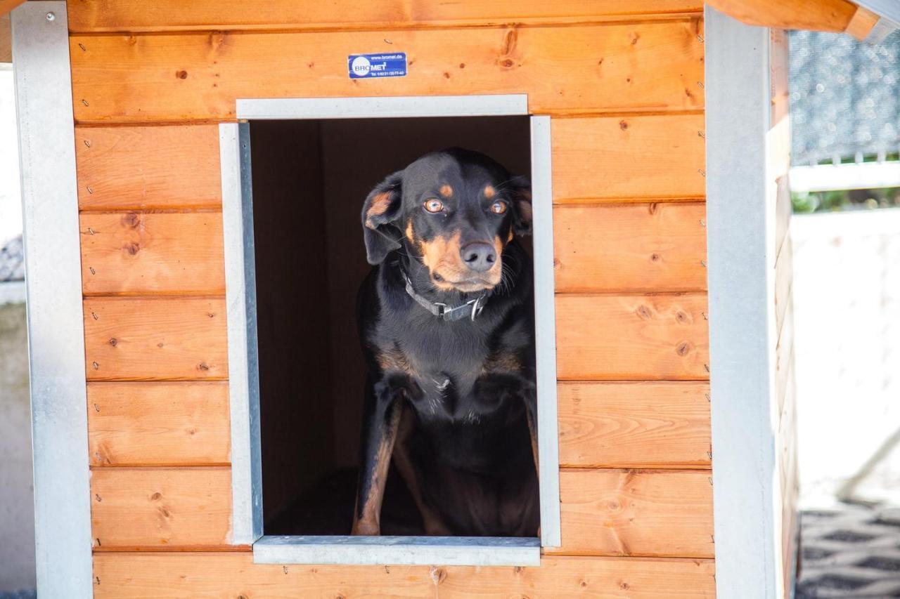 Ferienwohnung Bei Cooldog Imst Exteriör bild